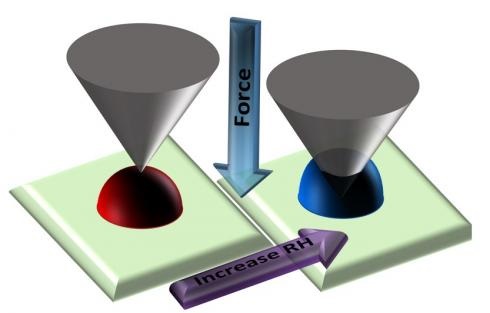 Single particle studies of atmospherically-relevant aerosols