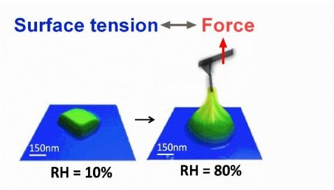 Single particle studies of atmospherically-relevant aerosols